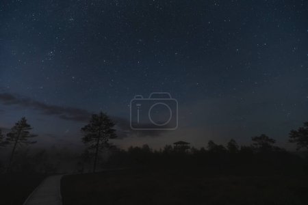 Téléchargez les photos : Scène nocturne, marais Viru raba en été au crépuscule sous le ciel étoilé. - en image libre de droit