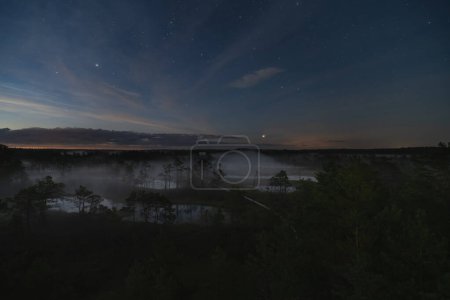 Téléchargez les photos : Scène nocturne, Marais Viru en été au crépuscule sous le ciel étoilé. - en image libre de droit