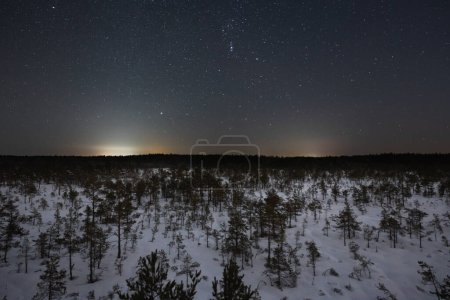 Night scene in nature, winter forest and starry sky, city lights on the horizon. 