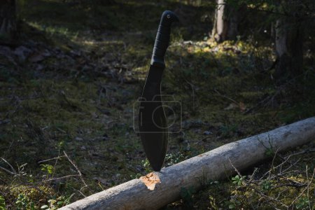 A large tactical black kukri knife is stuck into a dry fallen tree in the forest. 