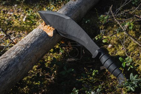 A large tactical kukri knife is stuck into a dry fallen tree in the forest. 