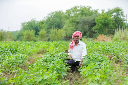Foto de Cultivo de semillas de guisante, agricultor indio feliz, agricultor pobre - Imagen libre de derechos