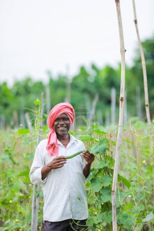 Foto de Agricultura de okra china india, agricultor sosteniendo bebé okra china en la granja - Imagen libre de derechos