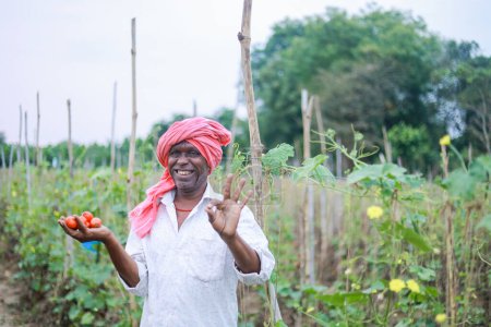 Foto de Agricultor indio sosteniendo tomate en las manos, agricultor feliz - Imagen libre de derechos