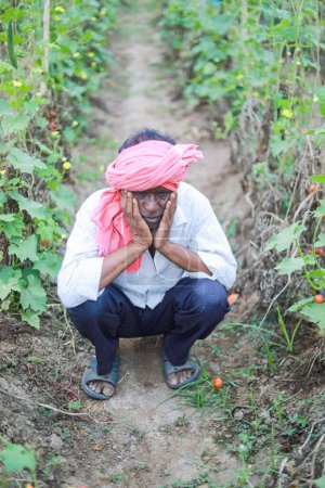 Foto de Agricultura de okra china india, agricultor sosteniendo bebé okra china en la granja - Imagen libre de derechos