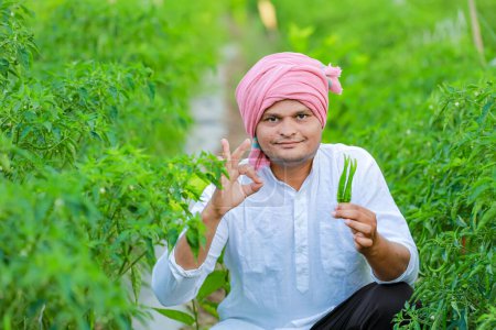 Foto de India Feliz agricultor sosteniendo chile verde, cultivo de chile verde, joven agricultor - Imagen libre de derechos