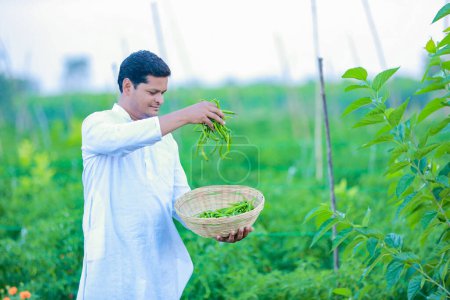Foto de Granjero indio feliz, sosteniendo el chile verde en las manos - Imagen libre de derechos