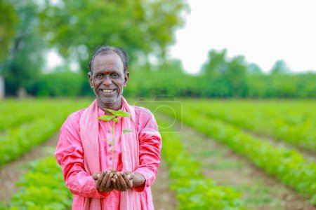 Foto de India agricultor feliz sosteniendo el árbol de algodón en las manos, agricultor feliz - Imagen libre de derechos