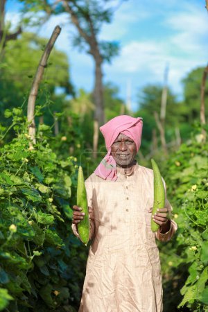 Foto de Agricultura india, agricultor sosteniendo calabaza botella, verdura fresca, agricultor feliz - Imagen libre de derechos