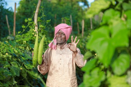 Foto de Agricultura india, agricultor sosteniendo calabaza botella, verdura fresca, agricultor feliz - Imagen libre de derechos