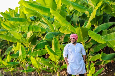 Foto de Agricultor de plátano indio inteligente y joven, agricultor de plátano, agricultor feliz - Imagen libre de derechos