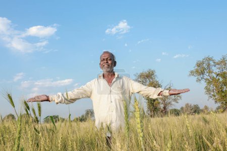 Foto de Granjero indio parado en campo de trigo, granjero feliz - Imagen libre de derechos