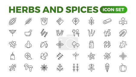 Herbs and spices - minimal thin-line web icon set. Outline icons collection. Spices, condiments, and herbs.Condiment icons set. Outline icon set.