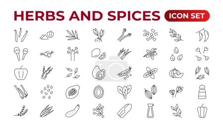 Herbes et épices - ensemble minimal d'icônes en ligne mince. Aperçu de la collection d'icônes. Épices, condiments et herbes.Ensemble d'icônes de condiments. Ensemble d'icônes.
