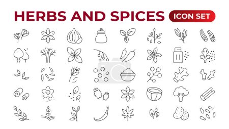 Herbes et épices - ensemble minimal d'icônes en ligne mince. Aperçu de la collection d'icônes. Épices, condiments et herbes.Ensemble d'icônes de condiments. Ensemble d'icônes.