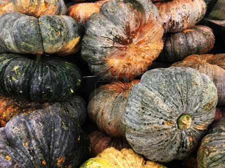 Photo for Colorful ornamental gourds as background, top view. - Royalty Free Image