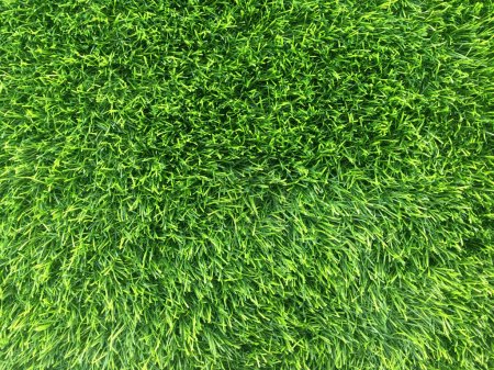 Photo for Green artificial grass natural background. - Royalty Free Image