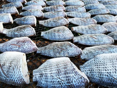 Photo for Nile tilapia fish sun dried salted fish. Nile tilapia fish sun dried. - Royalty Free Image