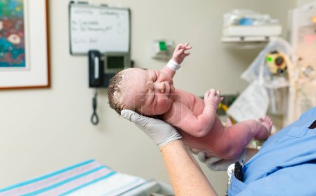Photo for Newborn baby just born being held by nurse - Royalty Free Image