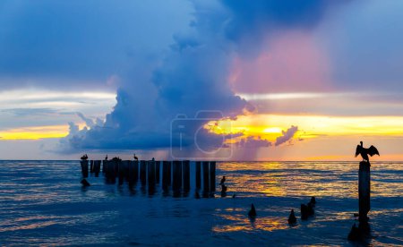 Téléchargez les photos : Coucher de soleil à la plage avec nuage de pluie et oiseau perché sur un poteau de bois dans l'eau - en image libre de droit