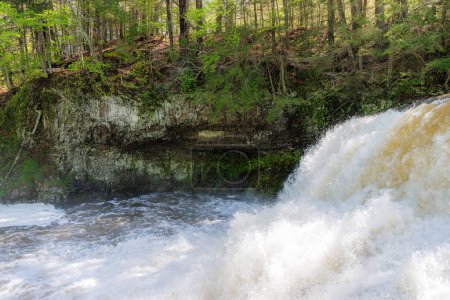 Téléchargez les photos : Chute d'eau précipitée au milieu d'une forêt luxuriante - en image libre de droit