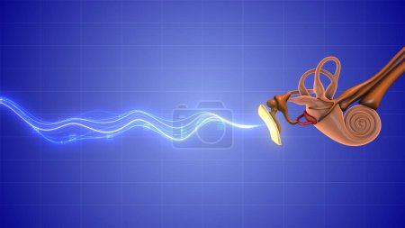 Photo for Sound waves entering human ears - Royalty Free Image