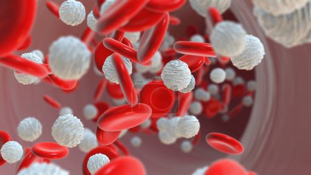 Foto de Glóbulos rojos y blancos que fluyen en los vasos sanguíneos - Imagen libre de derechos
