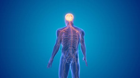 Central nervous system symptoms of Parkinson's disease