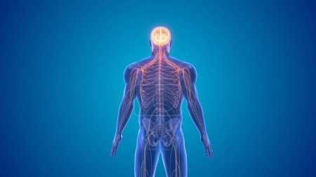 Symptômes du système nerveux central de la maladie de Parkinson