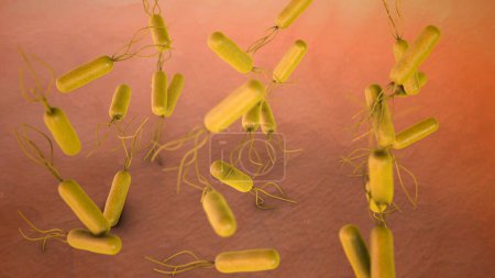 Photo for Medical animation of Helicobacter pylori bacteria inside stomach - Royalty Free Image