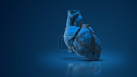 Animación médica 3D de un corazón humano