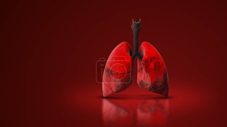 Pulmones 3d del sistema respiratorio humano