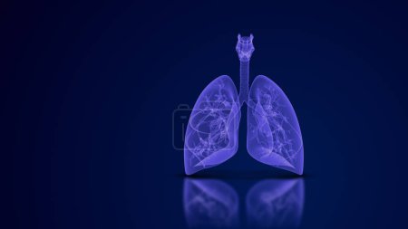 Medizinischer Hintergrund der menschlichen Lungen und Atemwege
