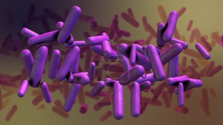 Shigella bacteria structure medical concept