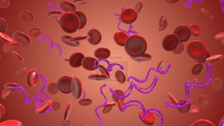 Photo for Lyme disease affected red blood cells - Royalty Free Image