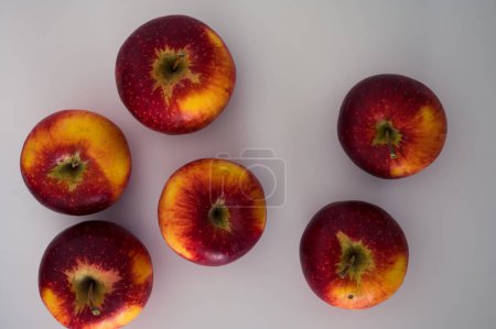 Photo for Group of yellow red apples frome the top. Organic fresh fruits and image of autumn harvest background - Royalty Free Image