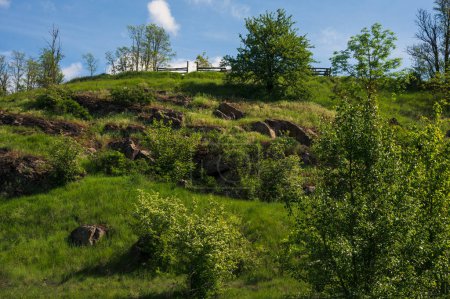 Green hill with rocky stones and young trees, spring grass, blue sky, sunny day, white clouds. Calm countryside cottagecore picture