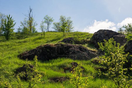 Green hill with rocky stones and young trees, spring grass, blue sky, sunny day, white clouds. Calm countryside cottagecore picture