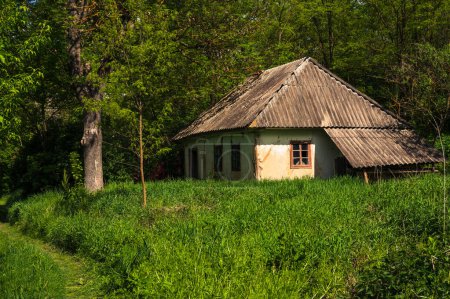 Old ukrainian house hata in green forest. Grass nature eco tourism farm image