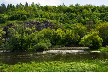 River flow in green forest with rocks in water small island with tree and grass on bank. Ukraine Southern Buh