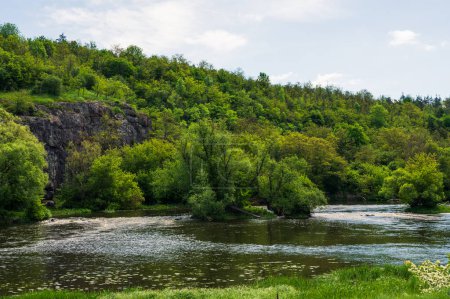 River stream in green forest with rocks for bouldering small island with tree and grass on bank. Ukraine Pivdennyi Buh