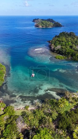 Drohnenansichten eines paradiesischen Strandes und Dschungels