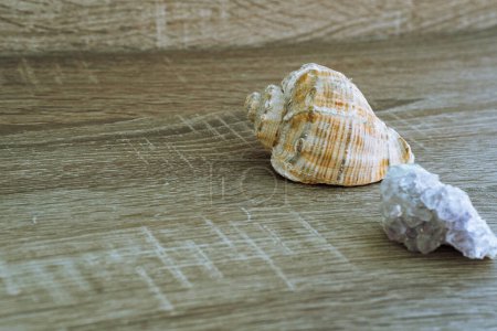 Foto de Concha de mar y piedras de mar sobre mesa de madera, primer plano - Imagen libre de derechos
