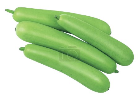 Photo for Image descriptioIndian farm fresh Bottle Gourd (Lagenaria siceraria). They are also known as guava beans, lauki, and white-flowered gourd.n - Royalty Free Image