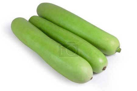 Photo for Indian farm fresh Bottle Gourd (Lagenaria siceraria). They are also known as guava beans, lauki, and white-flowered gourd. - Royalty Free Image
