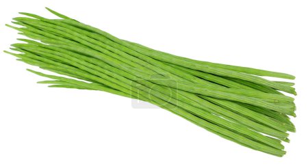 Photo for Raw vegetables a bunch of Indian drumsticks or Moringa oleifera pods - Royalty Free Image