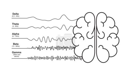 Hirnwellen-Frequenzen signalisieren Analyse, Reaktion des menschlichen Gehirns, neuronales Netzwerk, Vektorillustration Informatik Zeichnung