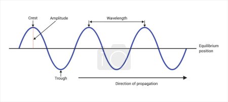 Transverse wave period and amplitude vector illustration, sound wave vector graphics.