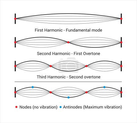 Ilustración de Modos de vibración de una cuerda fijada en ambos extremos, Física escolar, vibración de cuerdas - Imagen libre de derechos