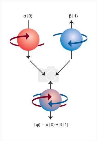 Ilustración de Representación del concepto de bits cuánticos, Infografía de Qubits con estados de superposición y enredo. ilustración vectorial. - Imagen libre de derechos